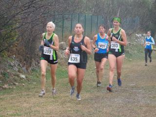 PRÉCÉDEMMENT, À OPIO