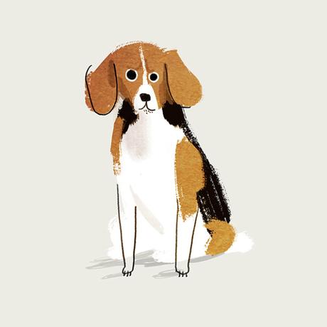 Les illustrations naïves de I AM JOHN BOND Les illustrations naïves de I AM JOHN BOND