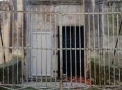 porto trop flamenco...