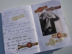 alliés substantiels,blog littéraire de christian cottet-emard,carnet,note,michel houellebeck,richard brautigan,albert cohen,pierre autin-grenier,slobodan despot,littérature,aphorisme