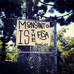 Monsanto et le glyphosate : la bataille de la crédibilité scientifique