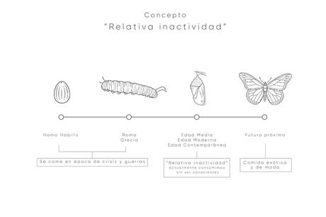 Packaging : Cocoon l'emballage géométrique des étudiantes de l'école ElisavaPack