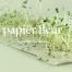 Le site Papierfleur.fr étonne autant qu'il séduit avec sa large gamme de produits écologiques en papier ensemencé qui fait pousser des fleurs et plantes aromatiques !