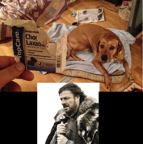 Taubira, sexisme et écrans de fumée Taubira, sexisme et écrans de fumée