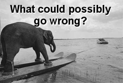 Taubira, sexisme et écrans de fumée Taubira, sexisme et écrans de fumée