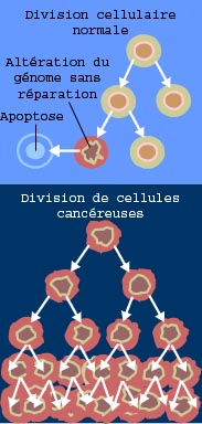 #thelancet #cancer #survie Surveillance mondiale des tendances de survie au cancer 2000-14 (CONCORD-3) : analyse de données individuelles recueillies chez 37 513 025 patients diagnostiqués d’un cancer sur les 18 types pris en compte à partir de 322 reg...