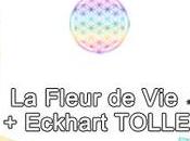 Fleur Eckhart Tolle