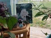 Jardin invisible CONCOURS