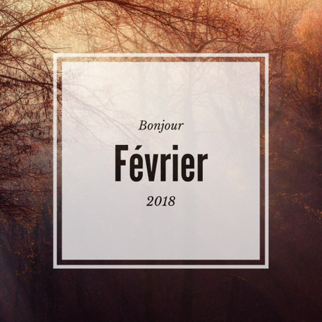 Bilan Janvier 2018