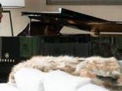 Nouvelles stills Fifty Shades Freed