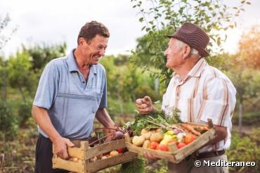Des cours en ligne gratuits et ouverts à tous pour comprendre l'agriculture biologique
