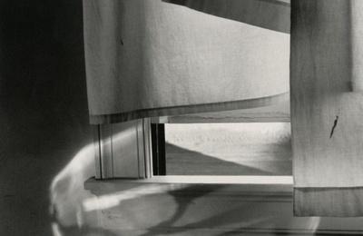 Windowsill Daydreaming