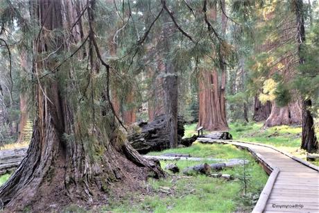 Les Parcs nationaux de Sequoia et Kings Canyon en Californie