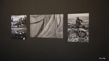 VILLENEUVE-LES-MAGUELONE – Galerie Ephémère – 3 et 4 février