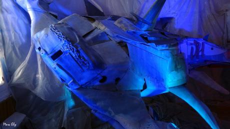 VILLENEUVE-LES-MAGUELONE – Galerie Ephémère – 3 et 4 février