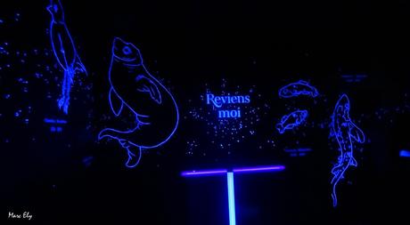 VILLENEUVE-LES-MAGUELONE – Galerie Ephémère – 3 et 4 février