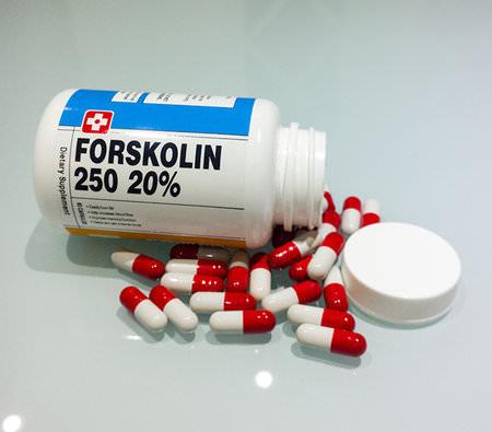 Coleus forskohlii, une plante ayurvédique pour maigrir sainement Coleus forskohlii, une plante ayurvédique pour maigrir sainement