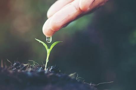 7 leçons sur le pouvoir de la persévérance persévérance nature