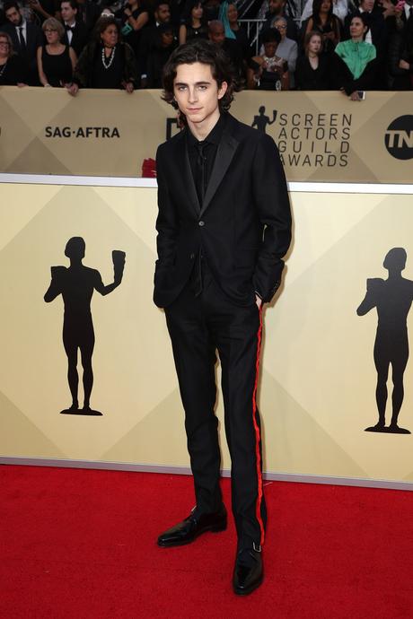 CALVIN KLEIN 205W39NYC Wardrobed Millie Bobby Brown and Timothée Chalamet for the 24th Annual  Screen Actors Guild Awards