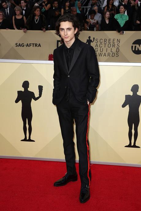 CALVIN KLEIN 205W39NYC Wardrobed Millie Bobby Brown and Timothée Chalamet for the 24th Annual Screen Actors Guild Awards CALVIN KLEIN 205W39NYC Wardrobed Millie Bobby Brown and Timothée Chalamet for the 24th Annual Screen Actors Guild Awards