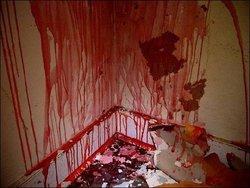 Sans l'ombre d'une chance - Mégane Brass