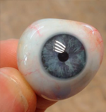 Sans l'ombre d'une chance - Mégane Brass