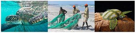 Aidez les artistes aborigènes de Pormpuraaw à sauvegarder la faune marine Aidez les artistes aborigènes de Pormpuraaw à sauvegarder la faune marine