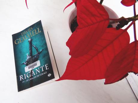 Rigante T4, le Corbeau de l’Orage – David Gemmel KODAK Digital Still Camera