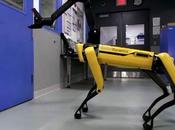 Robot chien Boston Dynamics