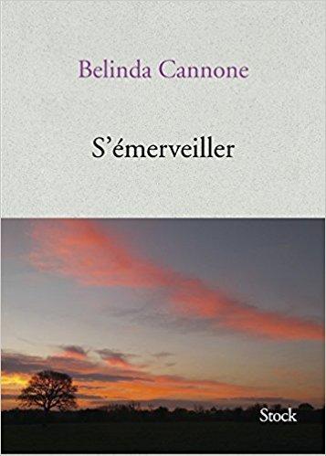 S'émerveiller, un livre de Belinda Cannone.