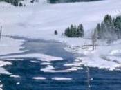 Bribes grands froids