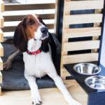 Fabio’s House la niche repensée par Alejandro MC