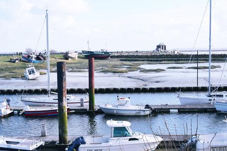 Passion photographie Passion photographie