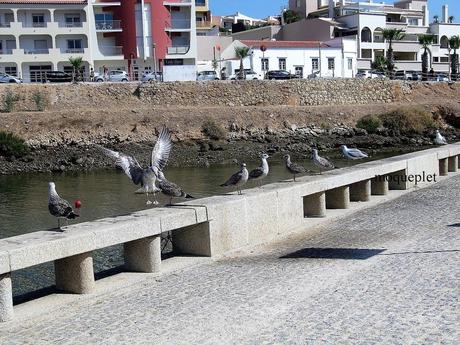 Pays Etanger - Le Portugal un très joli village
