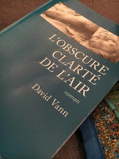 L'obscure clarté de l'air, David Vann