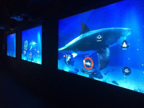 Ou voir des requins à Paris Aquarium Sea Life Val d'Europe