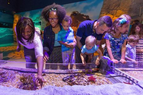 Visite aquarium Sea Life Val d'Europe