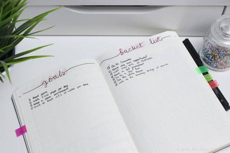 Organisation de mon Bullet Journal 📓✏| Bullet Journal Setup & Collections