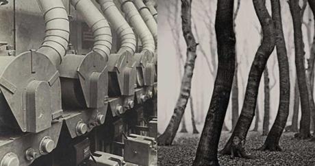 Art et perception dans l’art contemporain albert-renger-patzsch,photography,straight-photography,nouvelle-objectivité,exhibition,museum,jeu-de-paume,les-choses,neue-sachlichkeit,dyptique