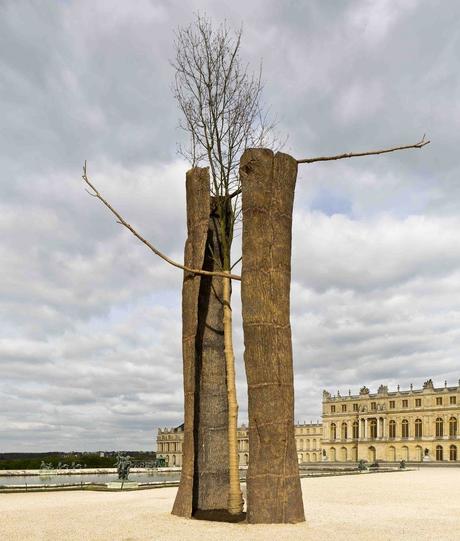 Guiseppe Penone Guiseppe Penone