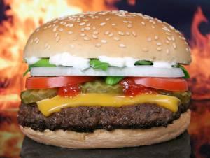 Zoom sur le hamburger