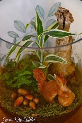 DIY : mon jardin miniature DIY : mon jardin miniature
