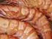 Gambas rôties l’ail, mille-feuilles fine brunoise légumes porto