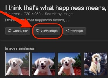 Google Images: comment faire réapparaître le bouton « Voir l’image » ?