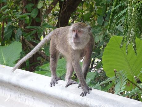 chloeschlothes-thailande