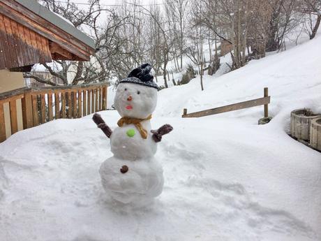 Bonhomme de neige © French Moments