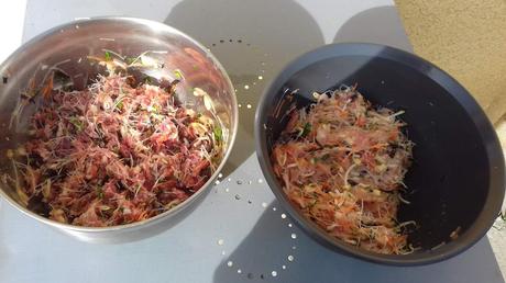 Nems au porc, citronnelle et coriandre cuisson au four Nems au porc, citronnelle et coriandre cuisson au four