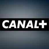 Canal+ a perdu un million d'abonnés depuis l'arrivée de Vincent Bolloré
