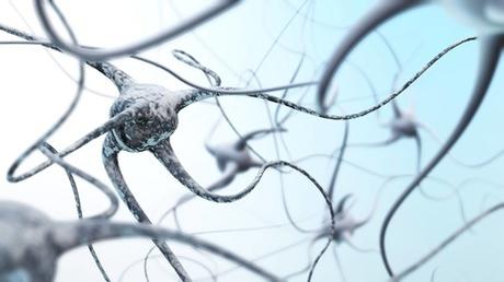 PARKINSON : Un trop plein de calcium dans les neurones ?