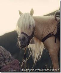 Damsel affpro © Strophic Productions Limited